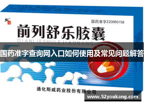 国药准字查询网入口如何使用及常见问题解答