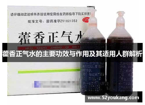藿香正气水的主要功效与作用及其适用人群解析 藿香正气水的主要功效与作用及其适用人群解析